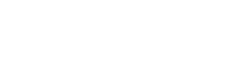 Texas Instruments